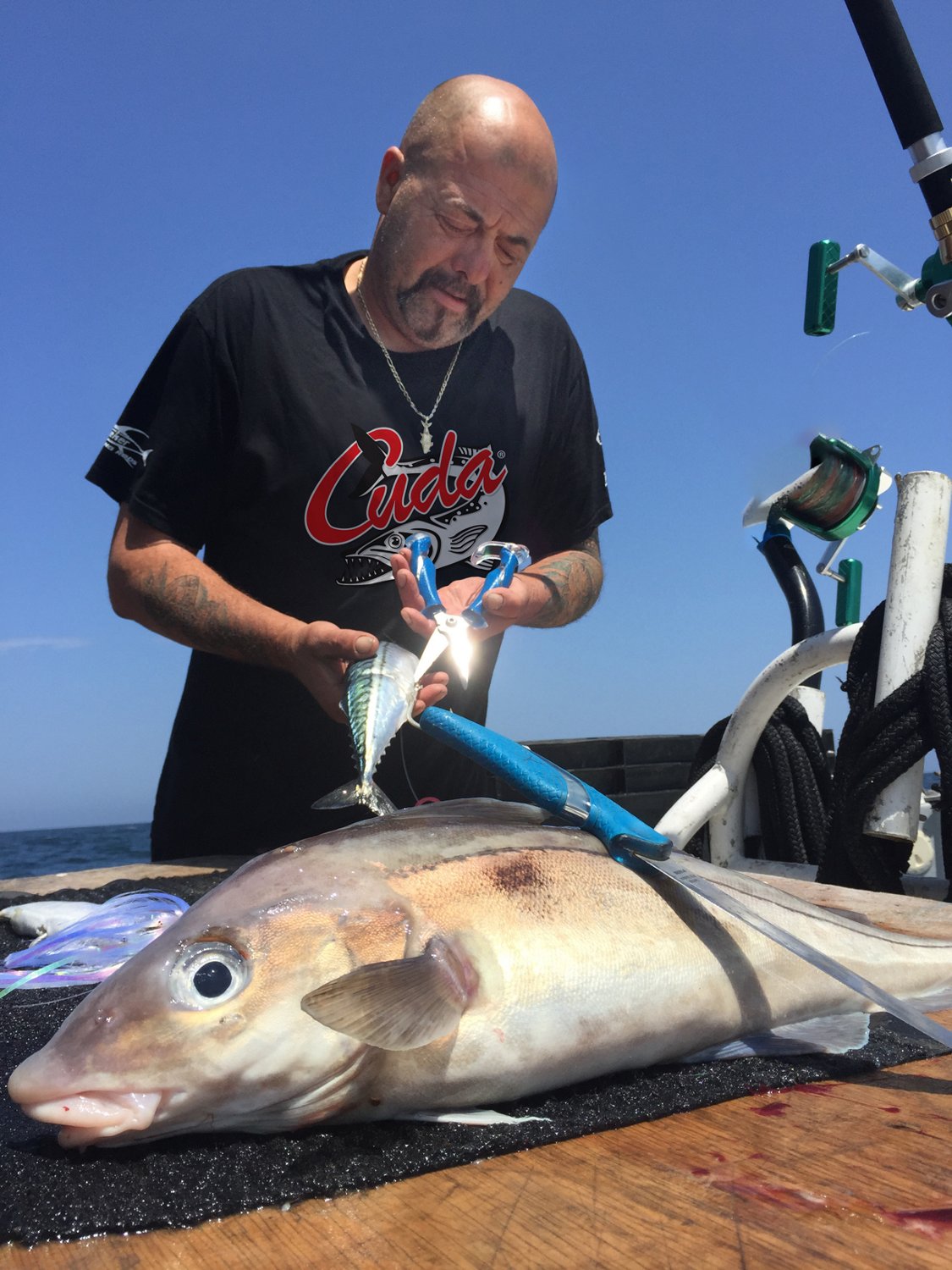 Cuda 8 in TI Snip - view number 8