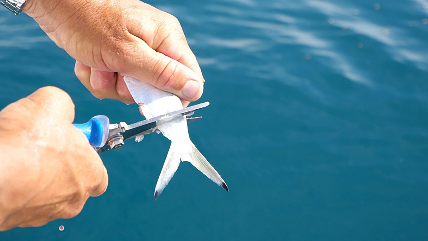 Cuda 8 in TI Snip - view number 7