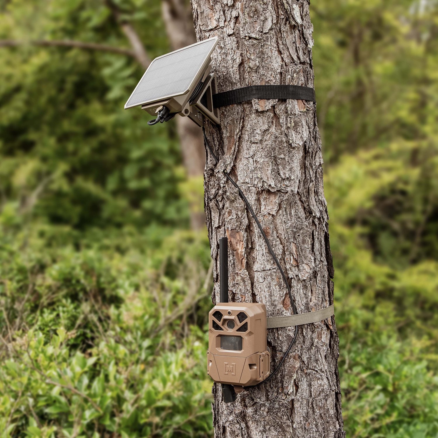 Moultrie Mobile Edge 2 and Solar Panel Kit - view number 4