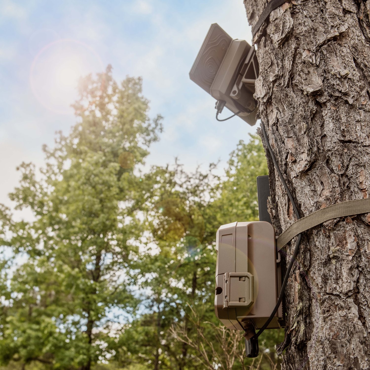 Moultrie Mobile Edge 2 and Solar Panel Kit - view number 5