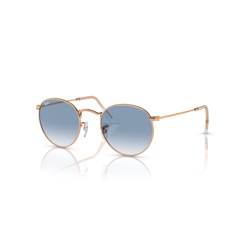 Ray-Ban Adult Round Metal Frame Sunglasses