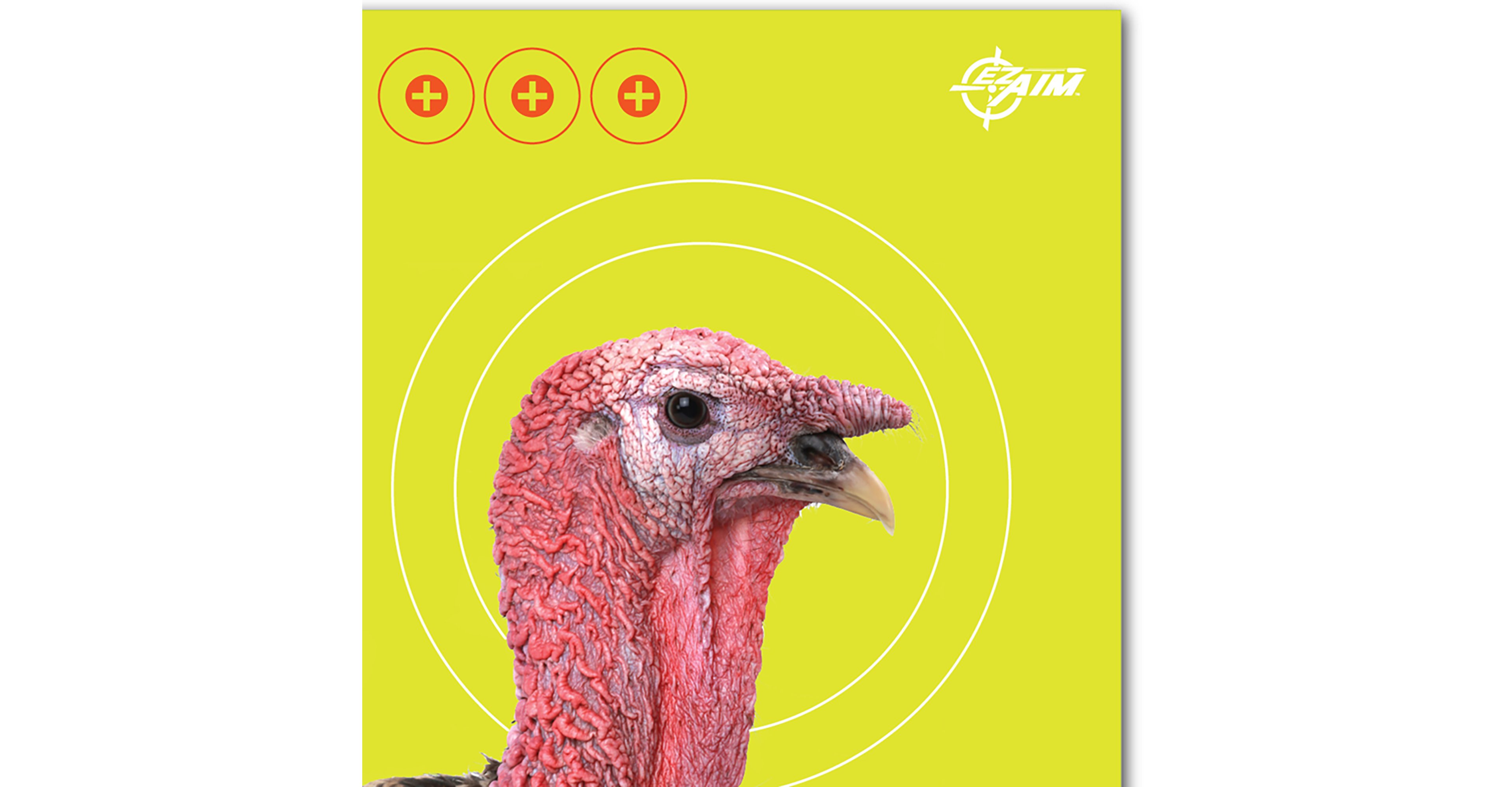 Allen Company EZ Aim Splash 12 in W x 18 in H Reactive Paper Shooting Targets 8-Pack