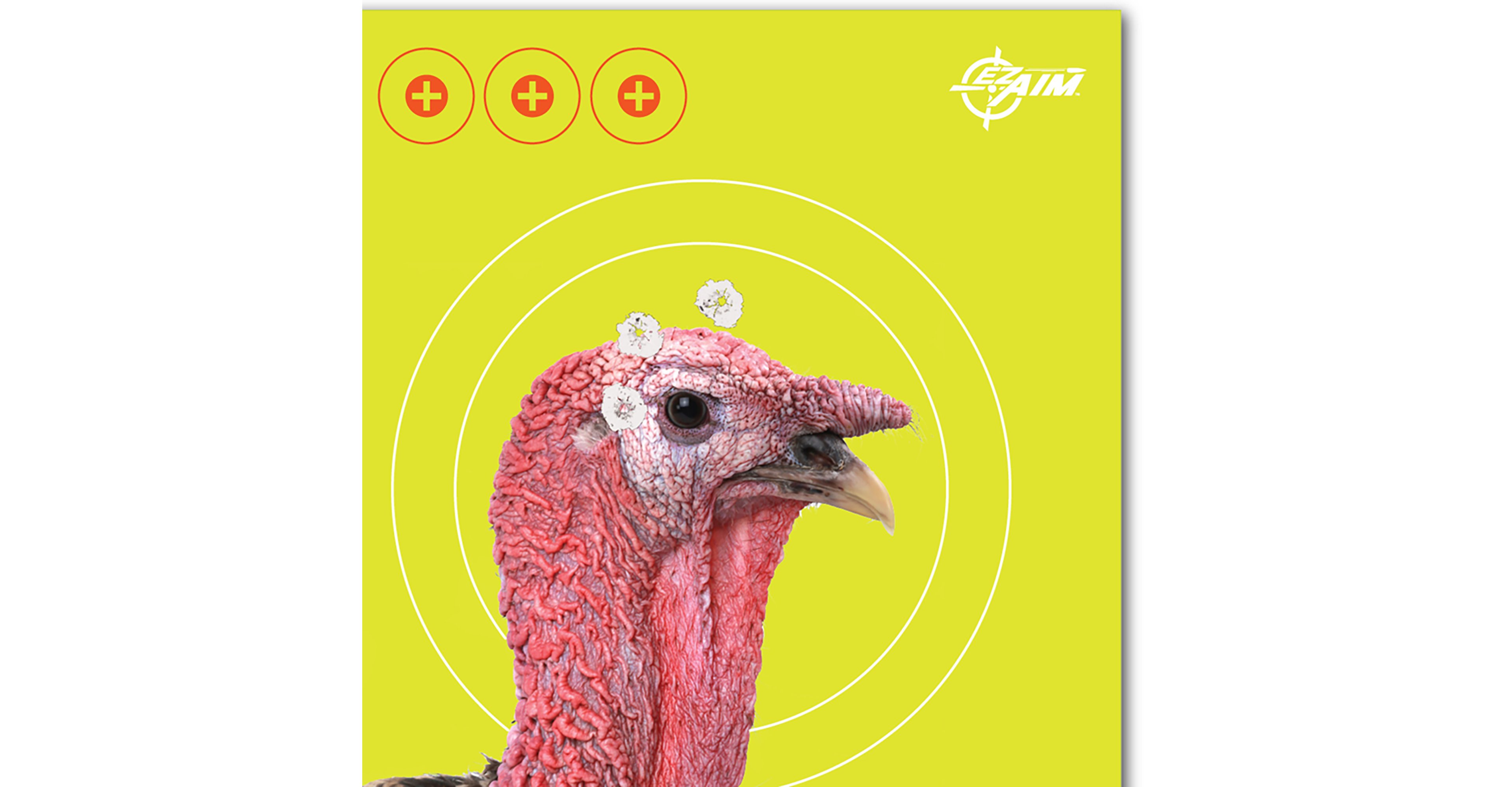 Allen Company EZ Aim Splash 12 in W x 18 in H Reactive Paper Shooting Targets 8-Pack