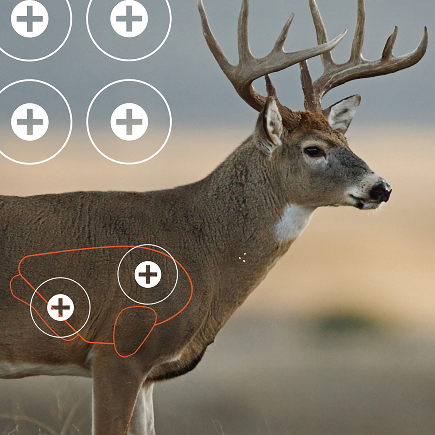 Allen Company EZ Aim Splash 24 in W x 13 in H Reactive Paper Shooting Targets 3-Pack - view number 2