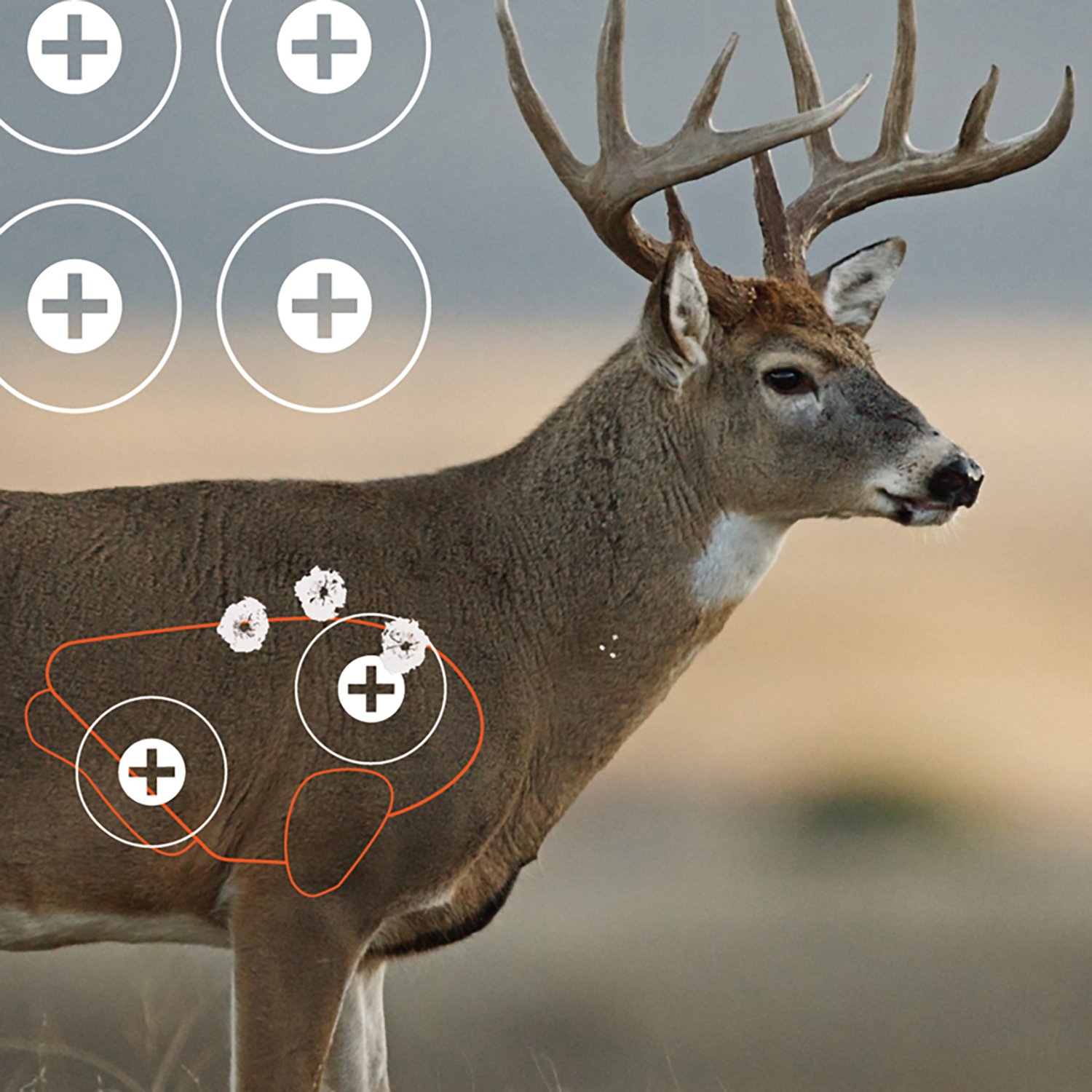 Allen Company EZ Aim Splash 24 in W x 13 in H Reactive Paper Shooting Targets 3-Pack - view number 3