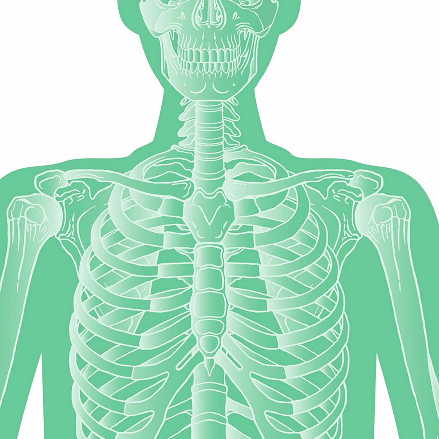 Allen Company EZ Aim Fun Group Paper Target Assortment 3-Pack                                                                    - view number 5