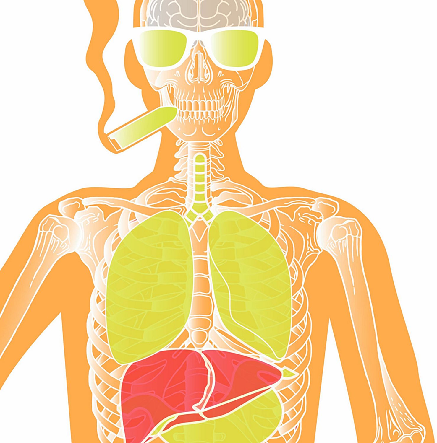 Allen Company EZ Aim Fun Makin' Bones About It Silhouette Paper Shooting Targets 3-Pack                                          - view number 5
