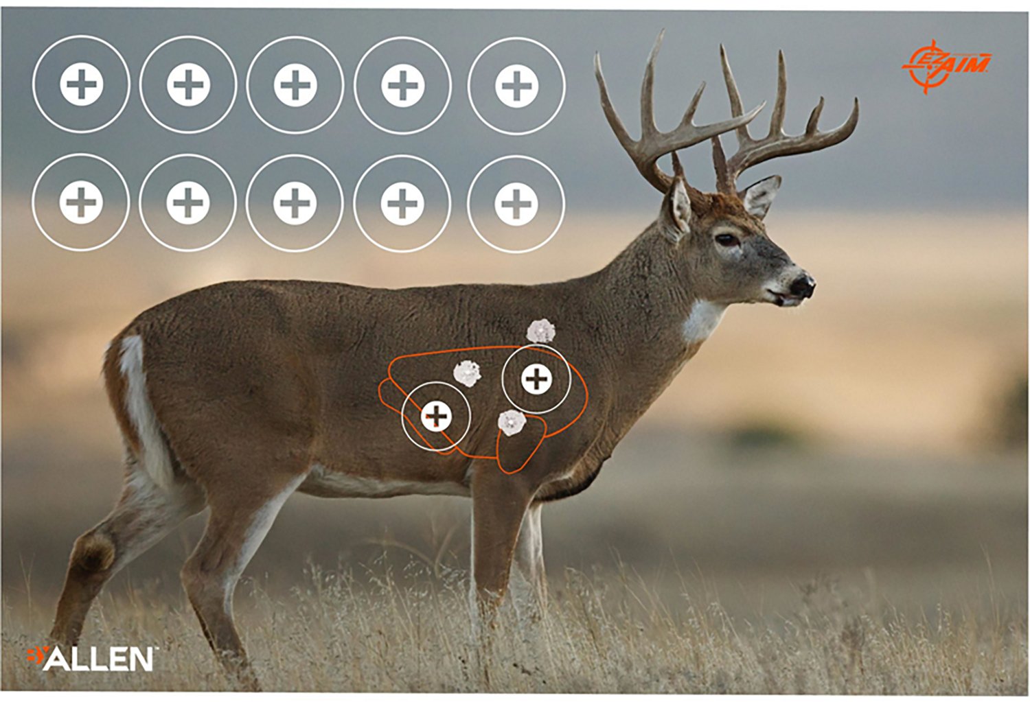 Allen Company EZ Aim 23 in x 35 in Whitetail Paper Shooting Targets 2-Pack