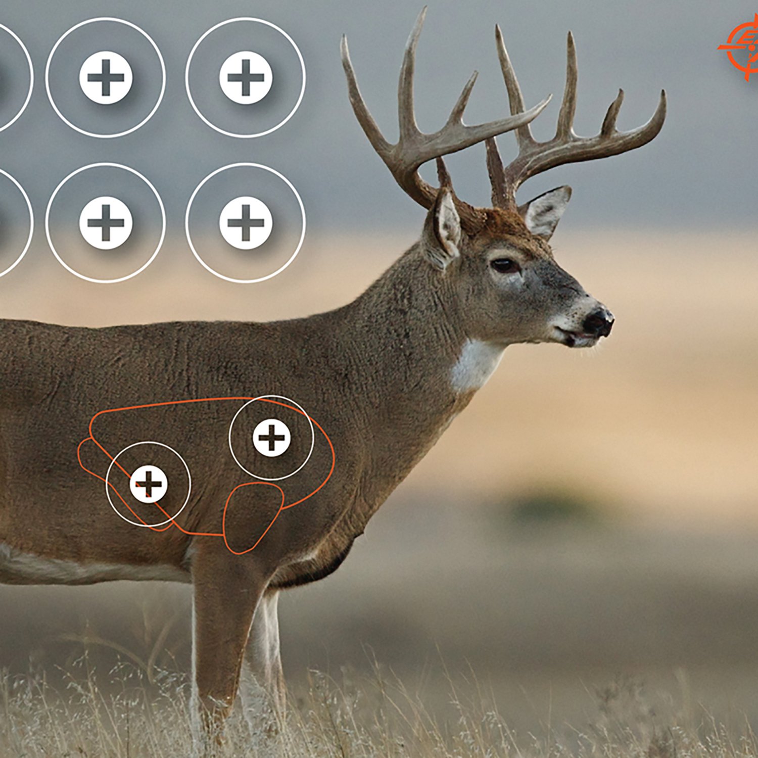 Allen Company EZ Aim 23 in x 35 in Whitetail Paper Shooting Targets 2-Pack - view number 3