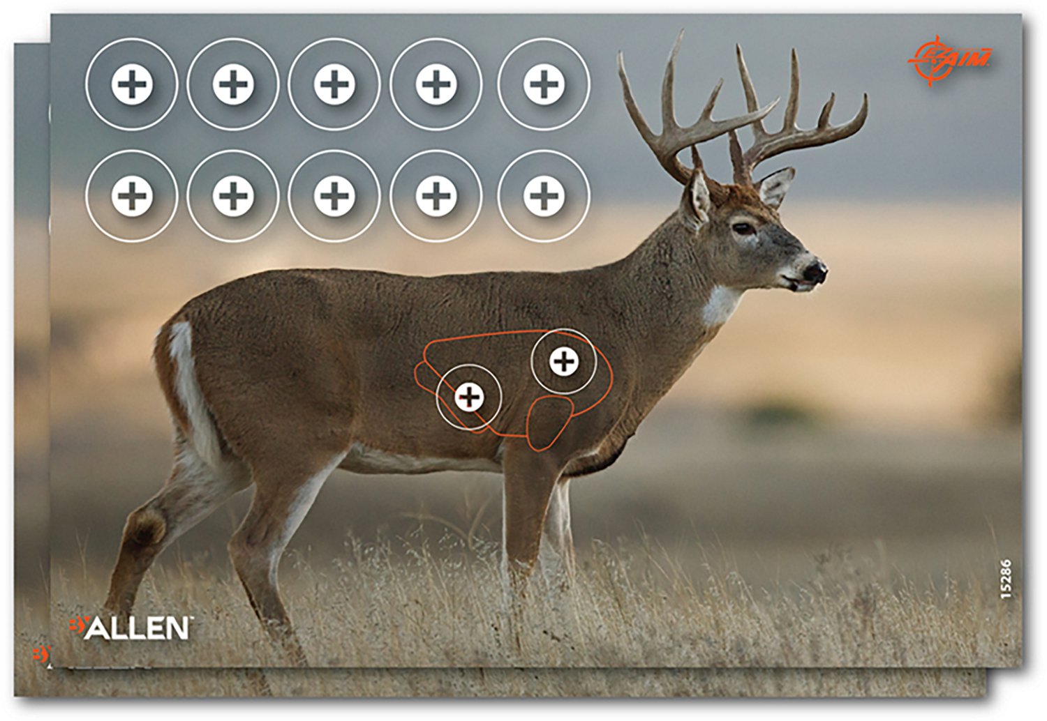 Allen Company EZ Aim 23 in x 35 in Whitetail Paper Shooting Targets 2-Pack - view number 4