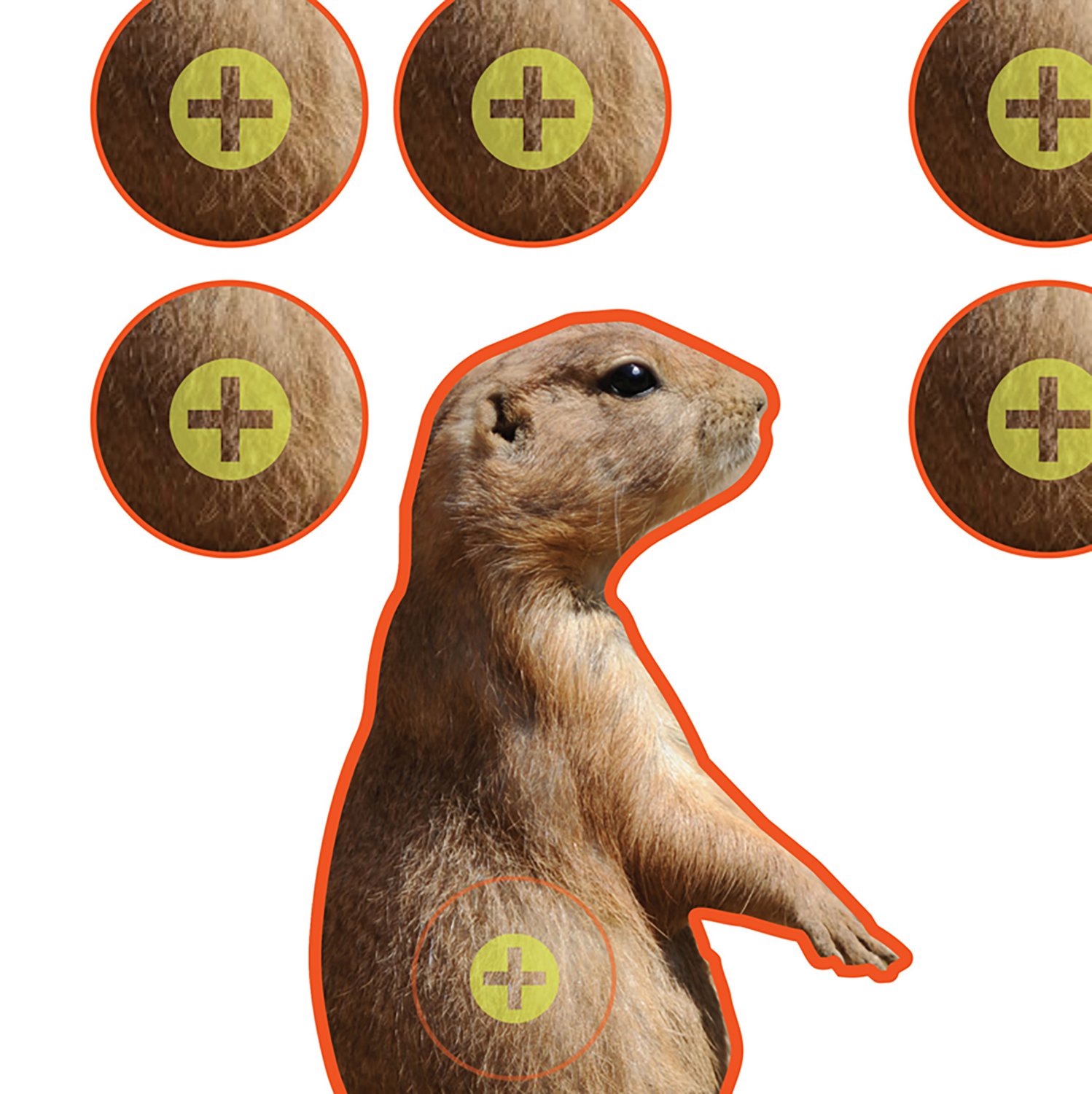 Allen Company EZ Aim Prairie Dog 8 in Square Shooting Targets 13-Pack