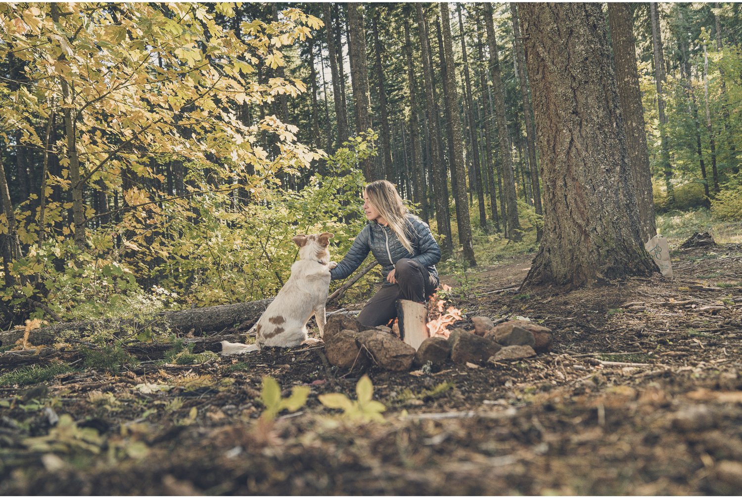Gerber Ayako Folding Knife - view number 5