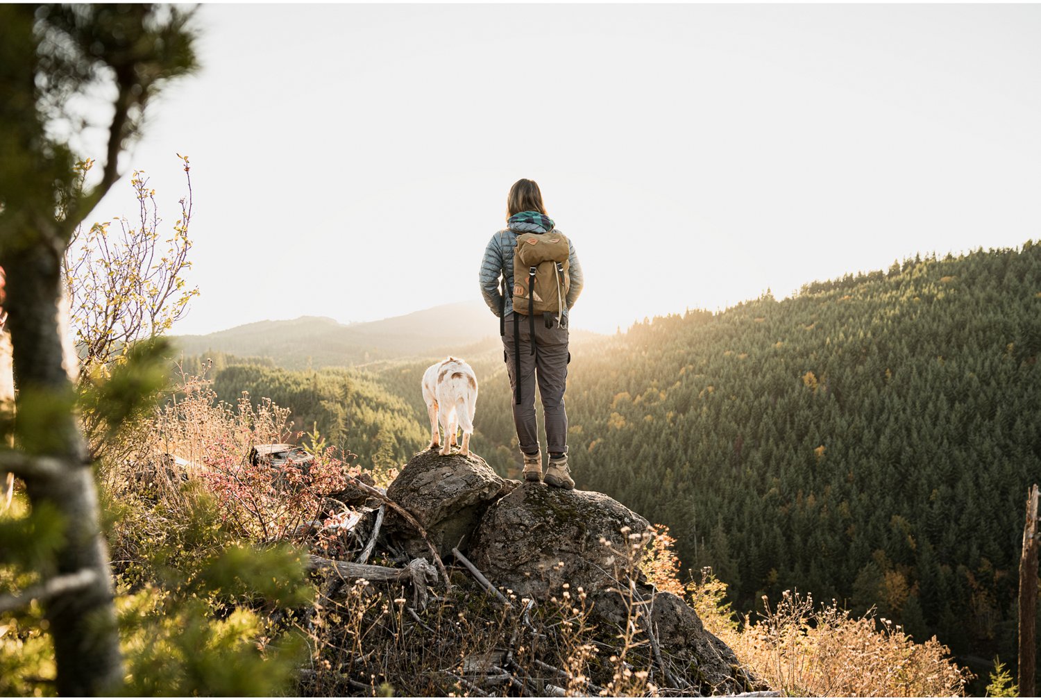 Gerber Ayako Folding Knife - view number 6