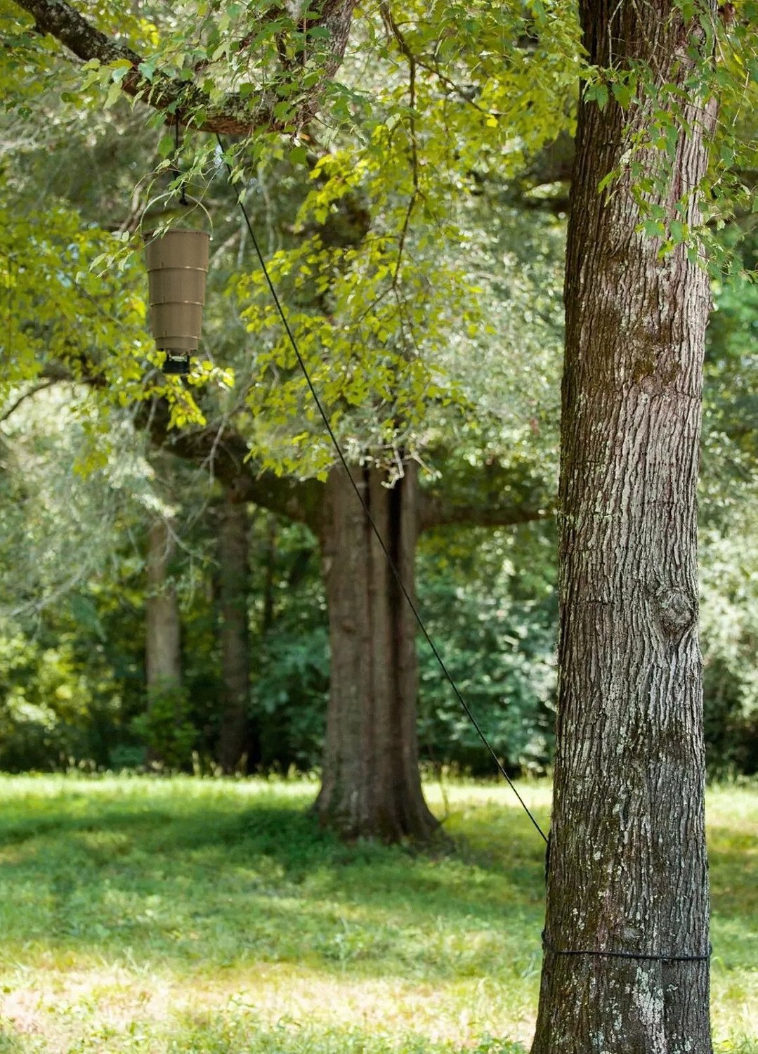 Moultrie 5 gal All in One Hanging Deer Feeder - view number 5