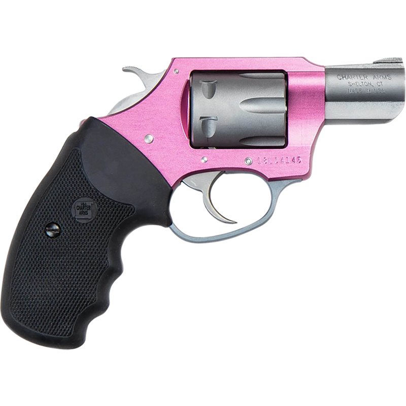 Charter Arms Pathfi… - image