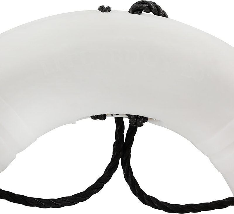 Dock Edge 20 in Life Ring - view number 5