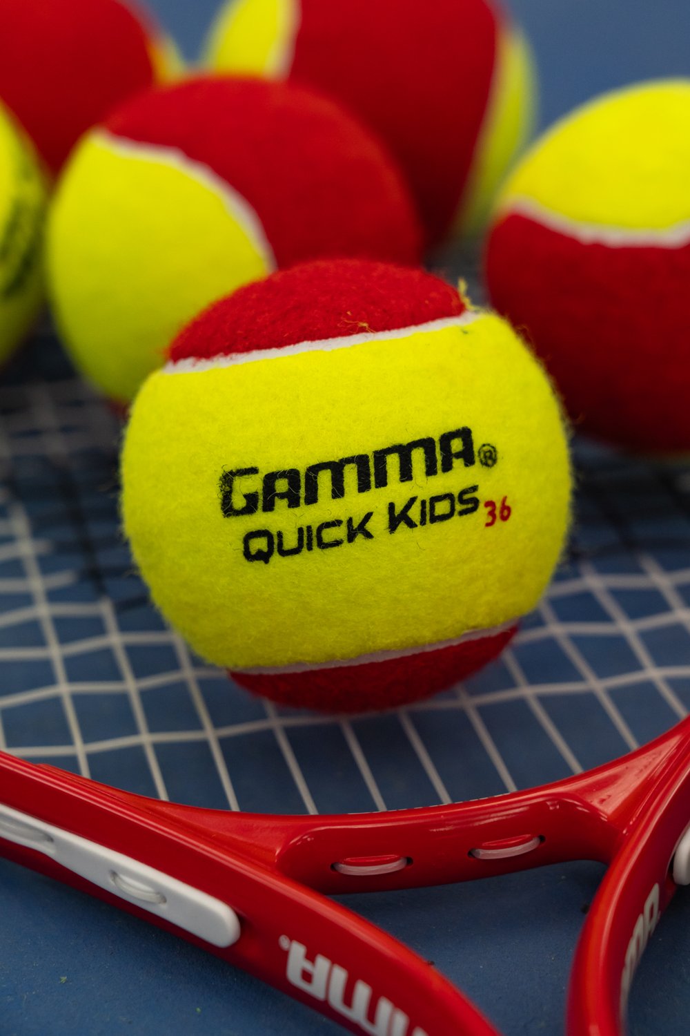 Gamma 2024 Quick Kids 36 Tennis Balls 12-Pack                                                                                    - view number 3