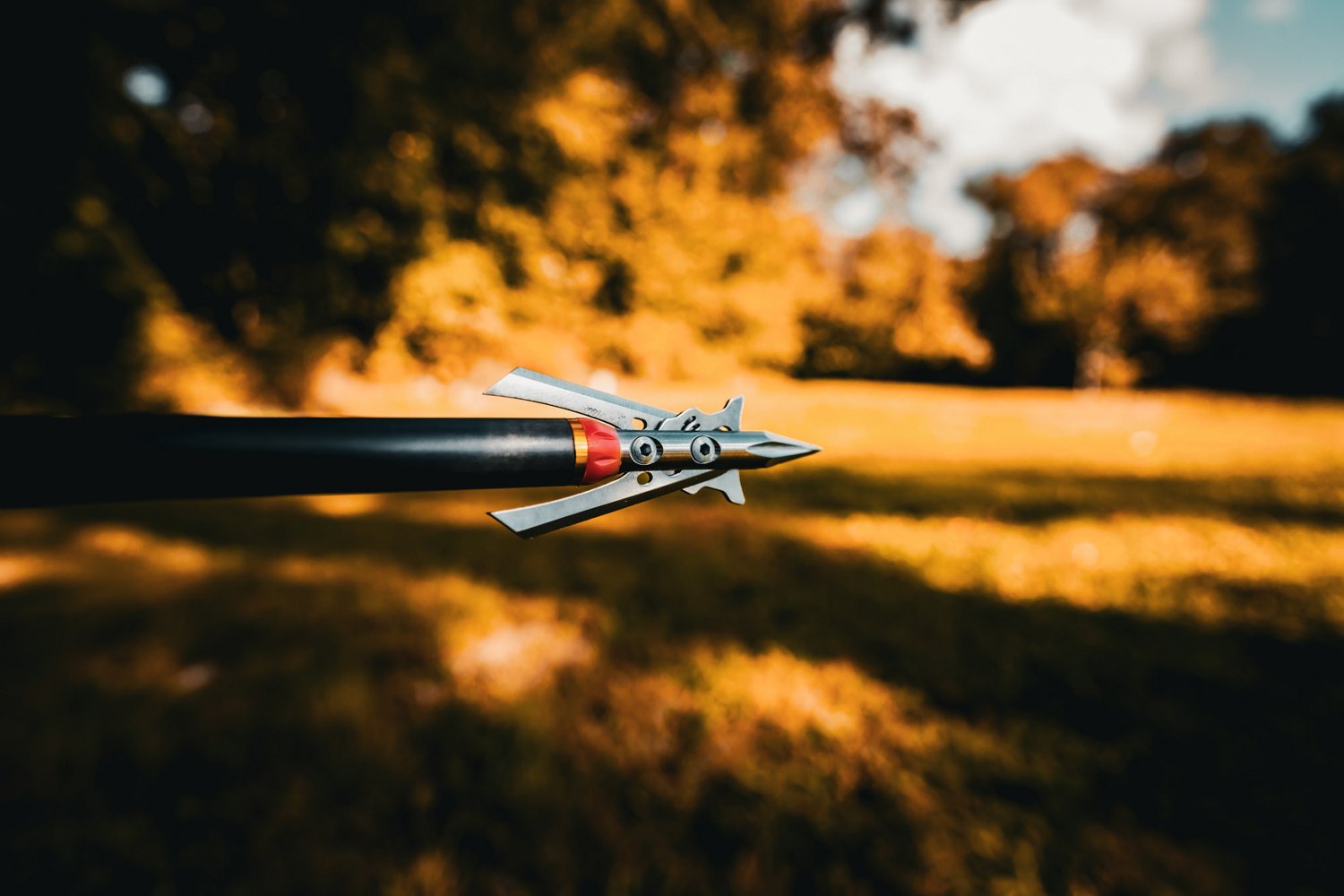 RAGE Hypodermic Trypan NC Crossbow Bolt - 3 Pack - view number 3