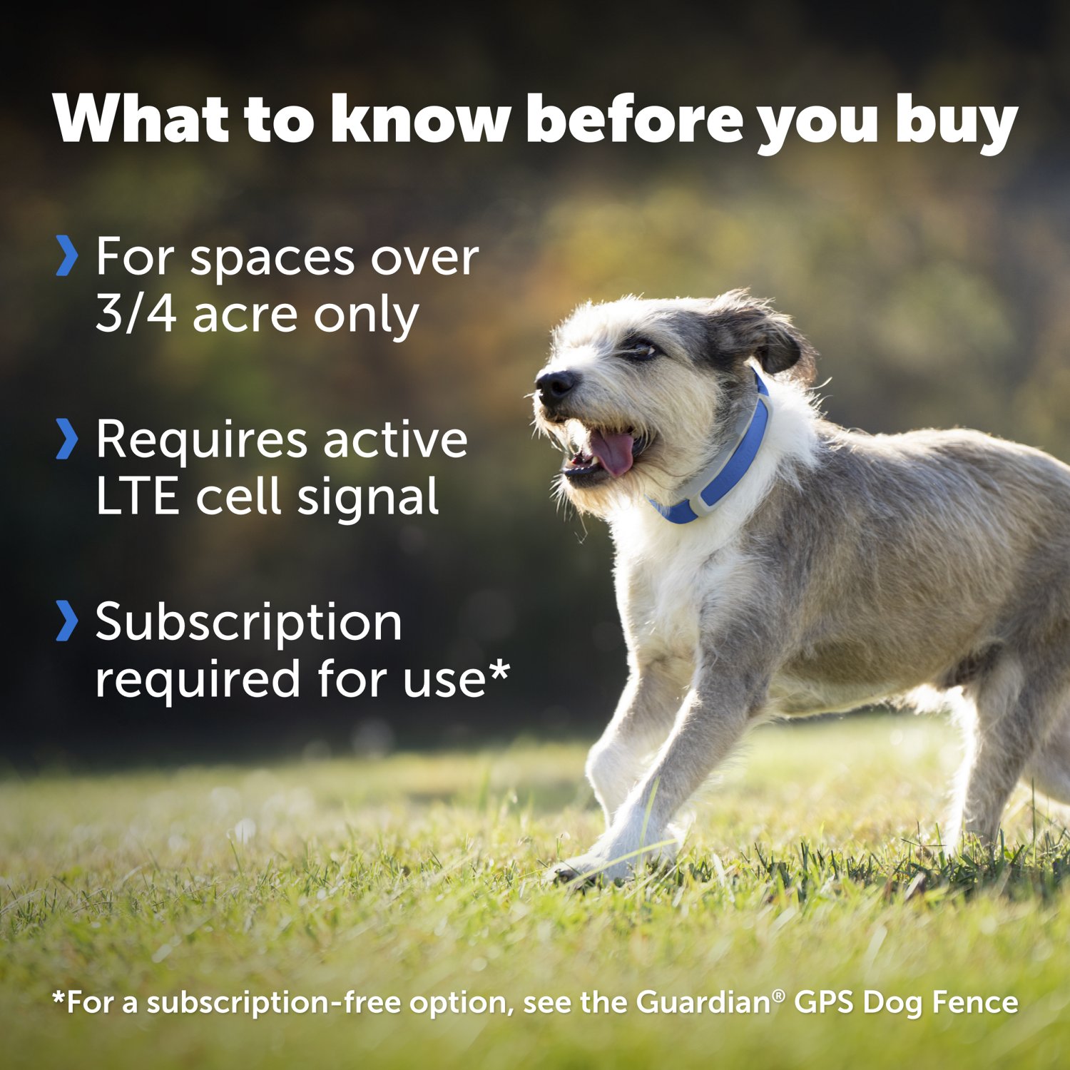 Guardian Pet Safe GPS and Tracking Dog Fence Collar - view number 6