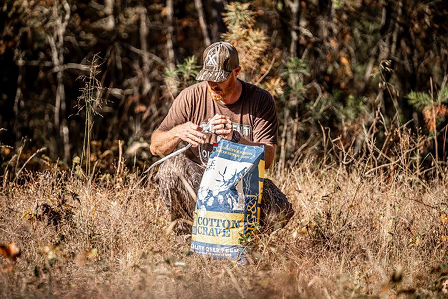 Big & J Cotton Crave 40 lb Bag                                                                                                   - view number 4