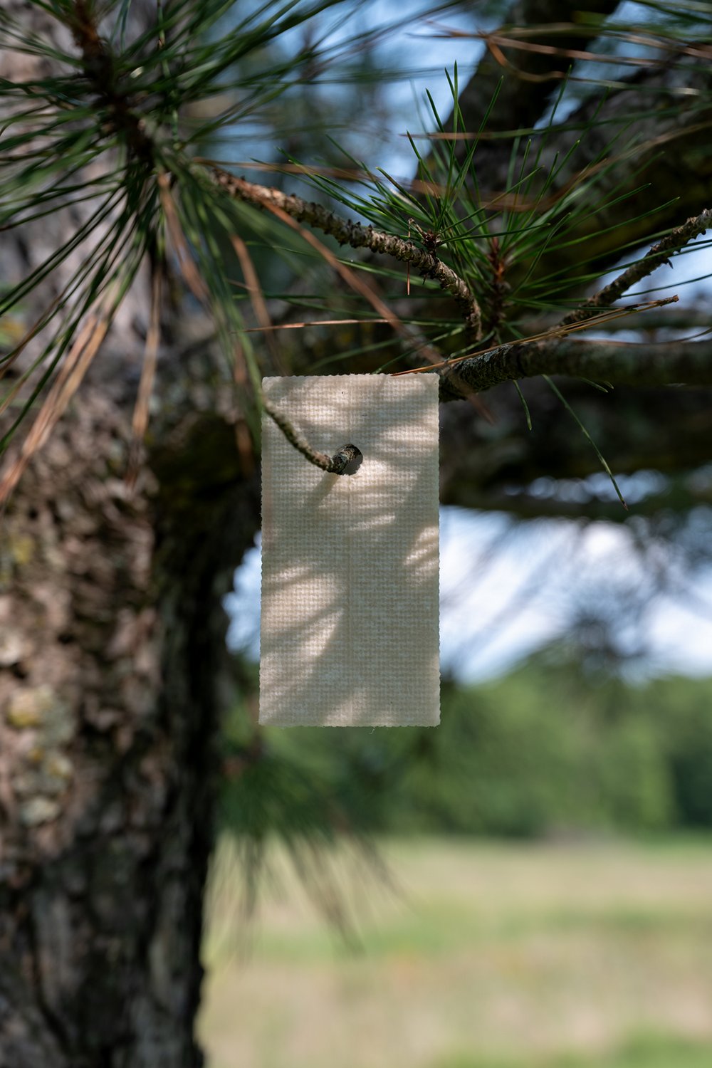 Scent Thief Trophy Pack                                                                                                          - view number 8