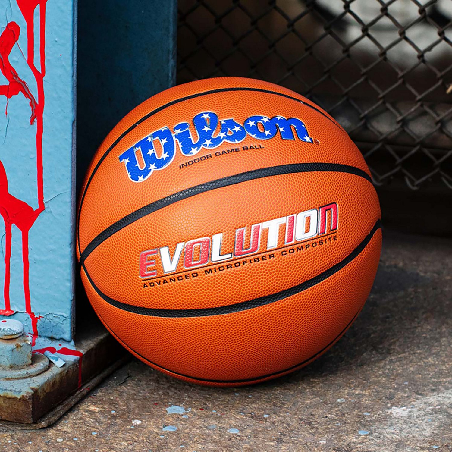 Wilson Evolution Game Basketball                                                                                                 - view number 3