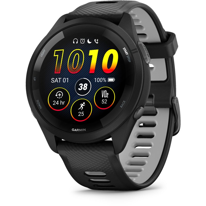 Garmin Forerunner 2… - image
