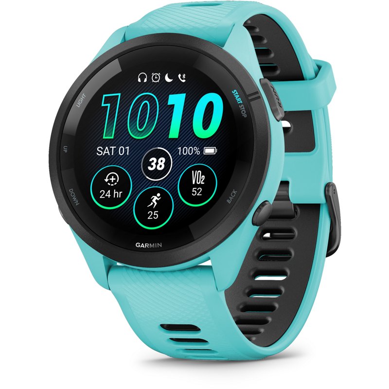 Garmin Forerunner 2… - image