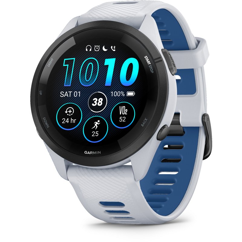 Garmin Forerunner 2… - image