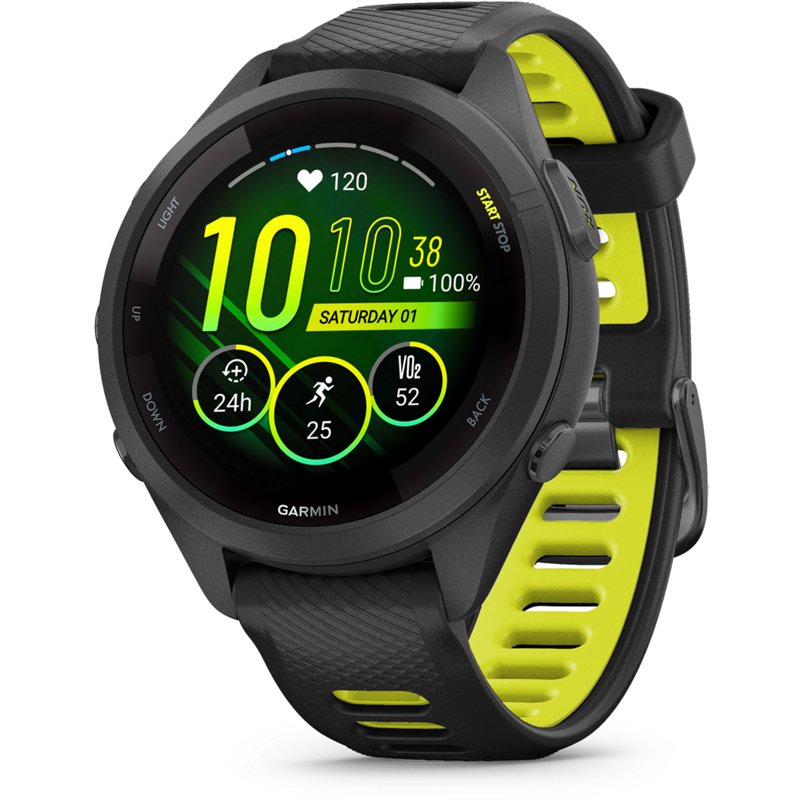 Garmin Forerunner 2… - image