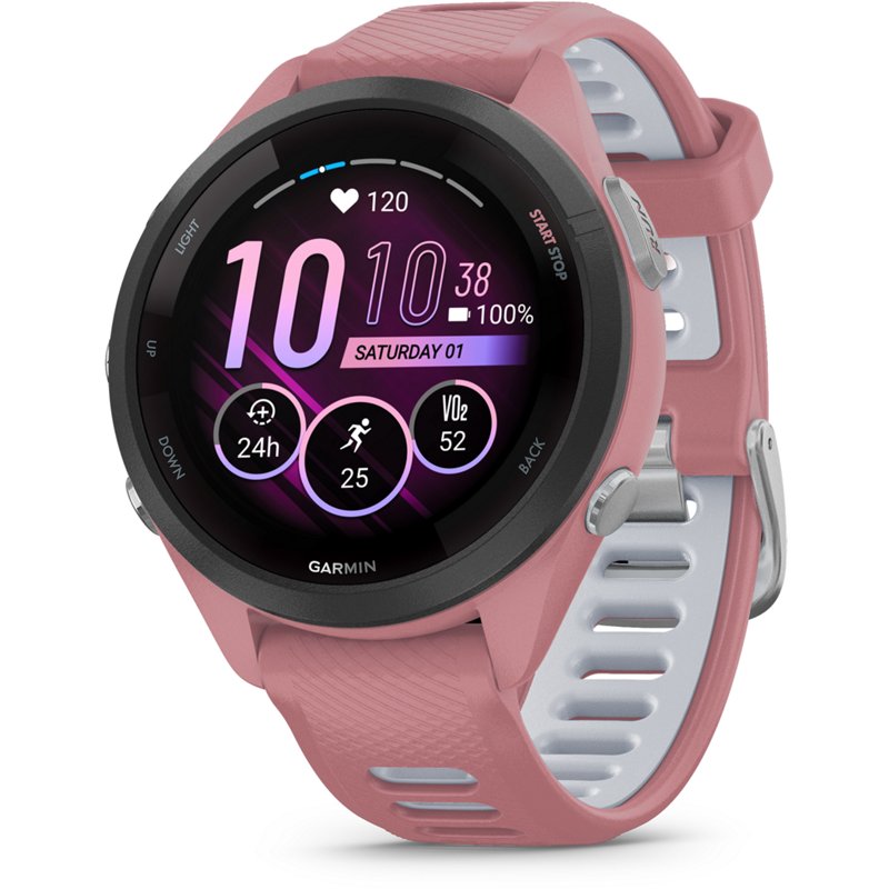 Garmin Forerunner 2… - image