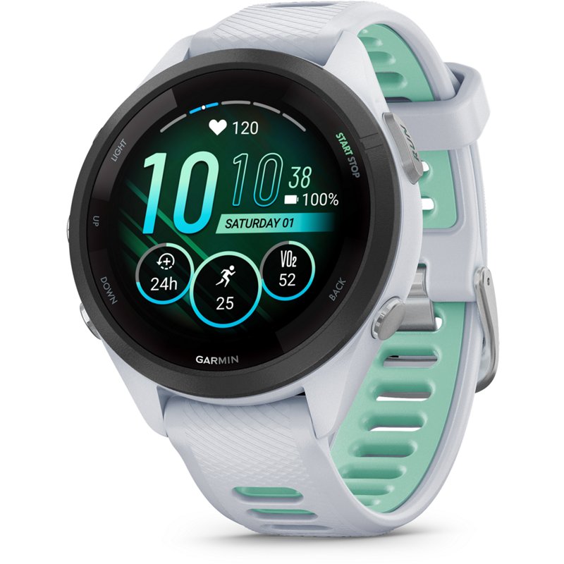 Garmin Forerunner 2… - image