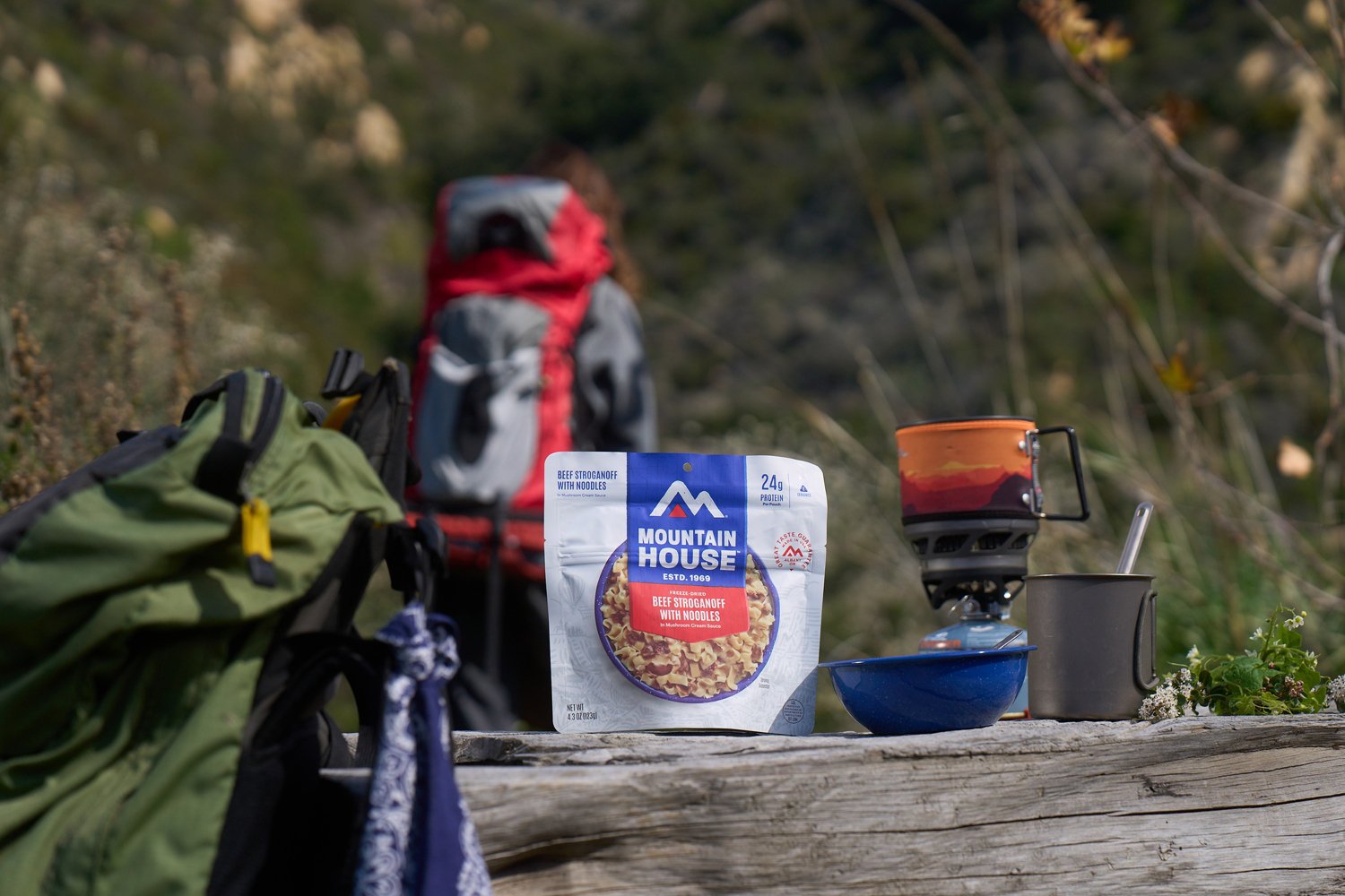 Mountain House Beef Stroganoff - view number 4