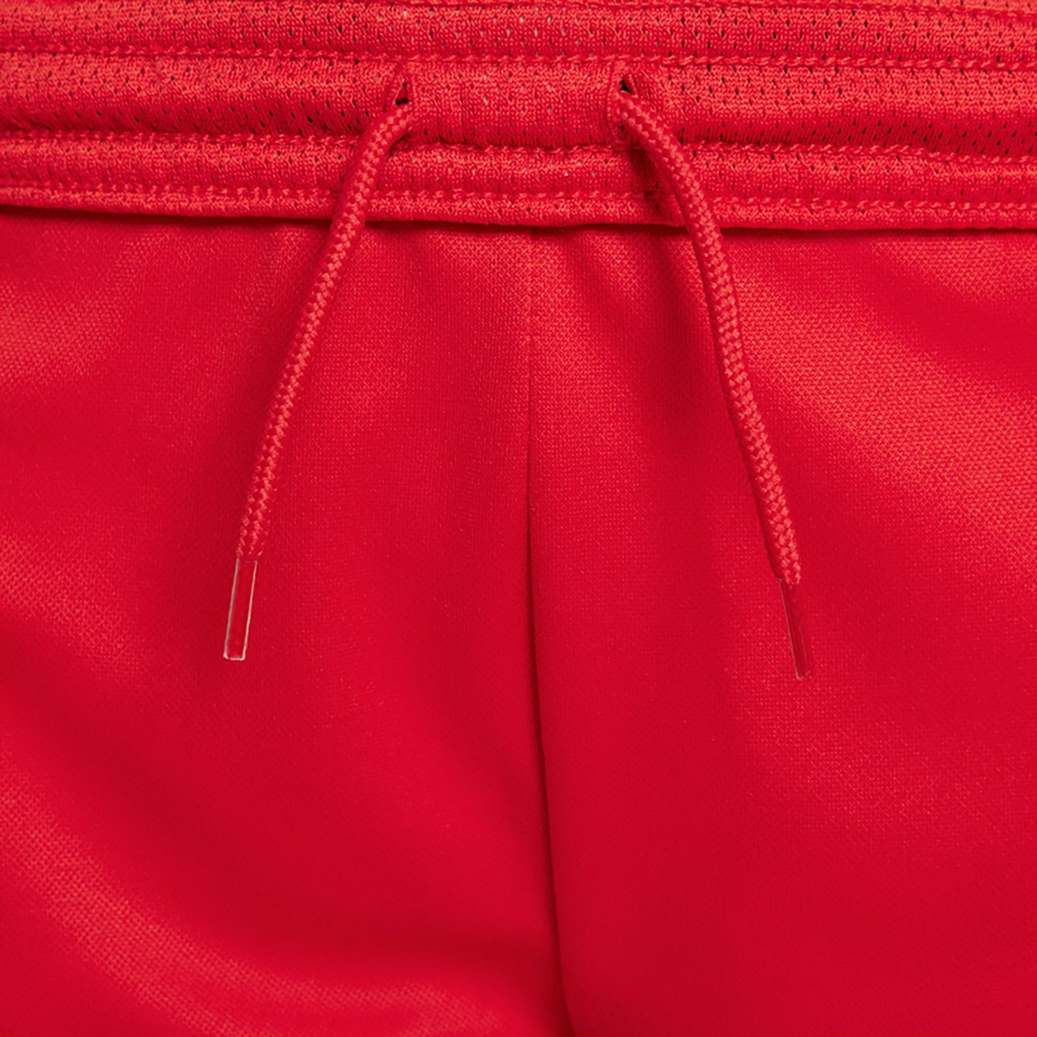Nike Boys' Trophy GFX Shorts - view number 3