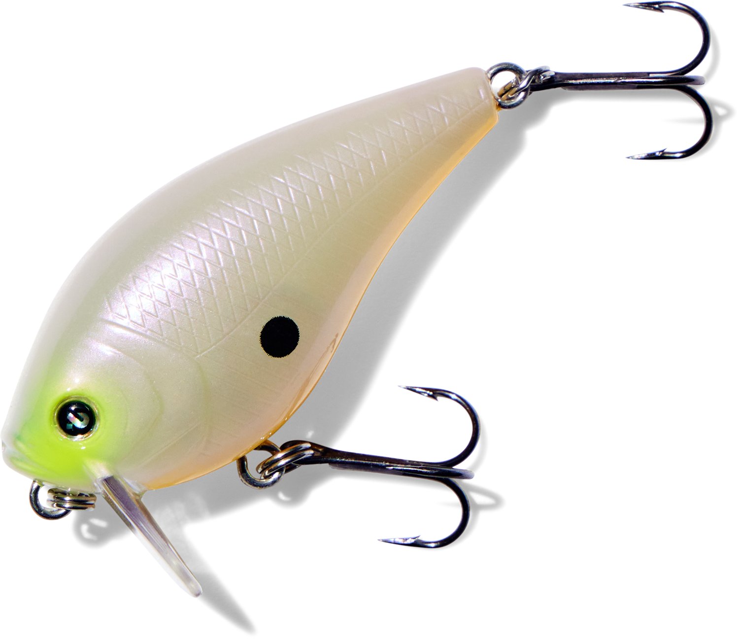 H20X Wake Bait
