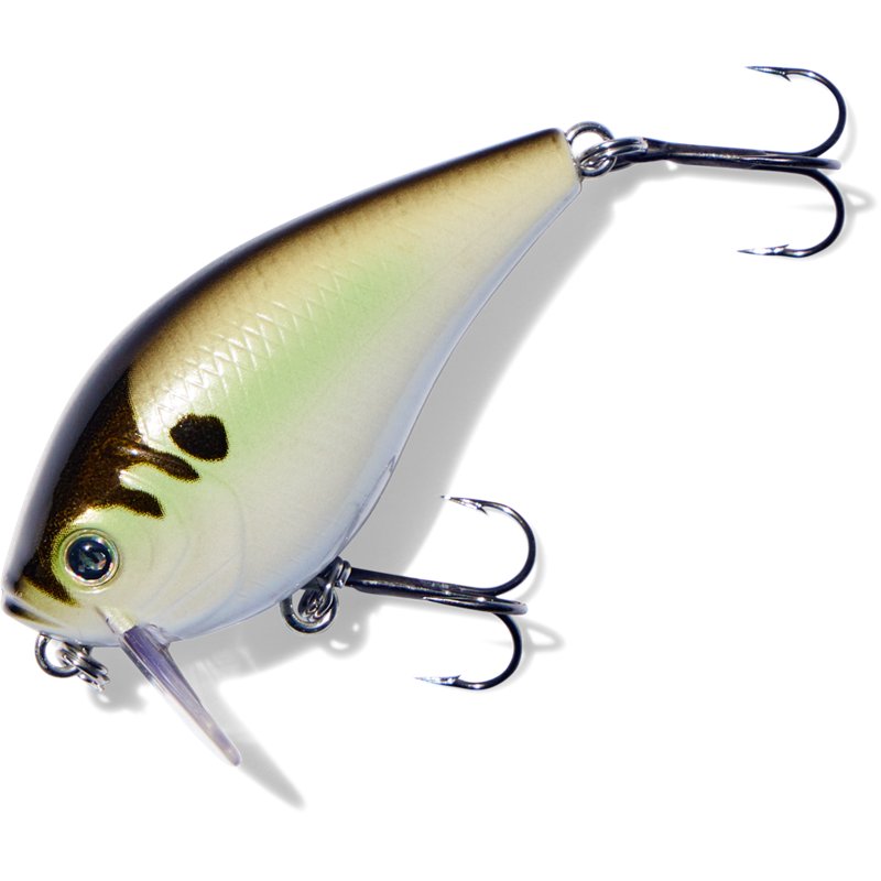 H2OX H20X Wake Bait Shad - Frsh Water Hard Baits at Academy Sports