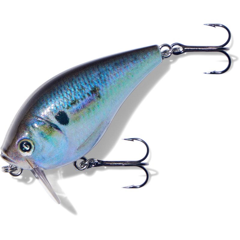 H20X Wake Bait - image