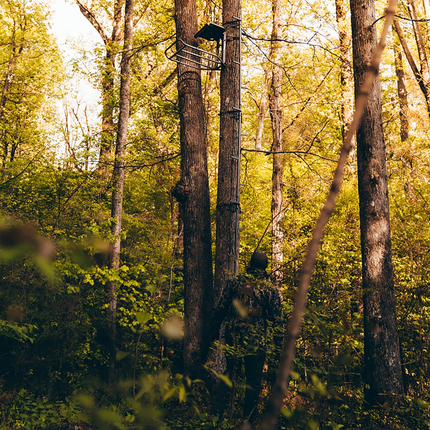 Rivers Edge Big Foot Connected Stick Tree 20 ft Climbing System - view number 2