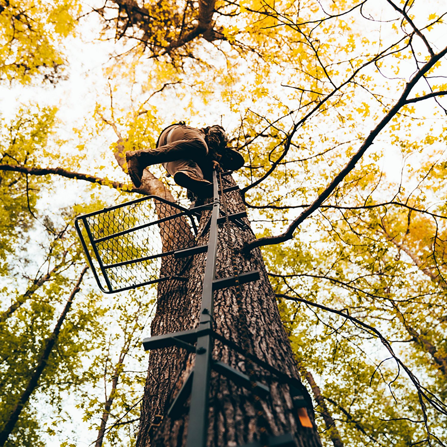 Rivers Edge Big Foot Connected Stick Tree 20 ft Climbing System - view number 5