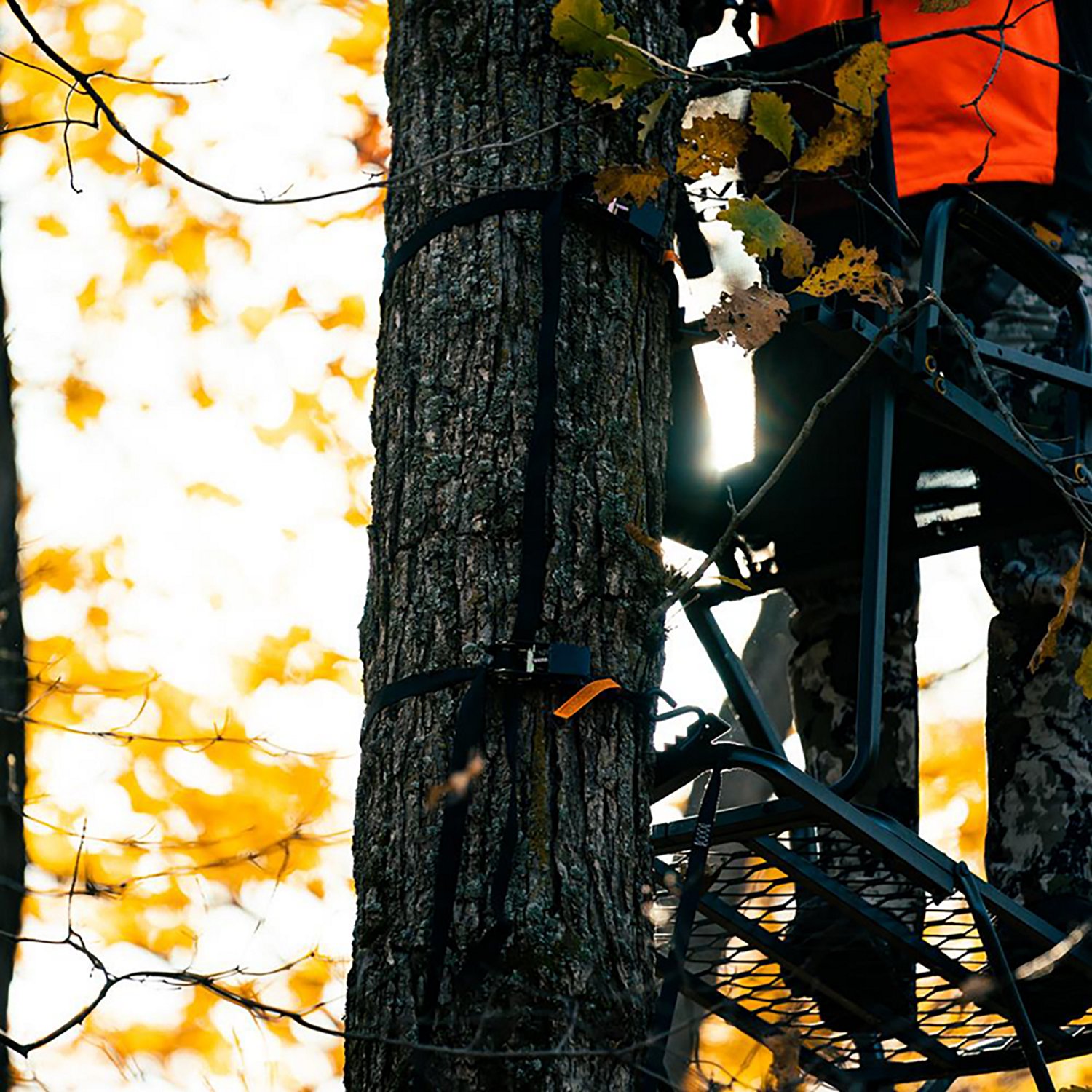 Rivers Edge Ladder Stand Ratchet Strap                                                                                           - view number 7