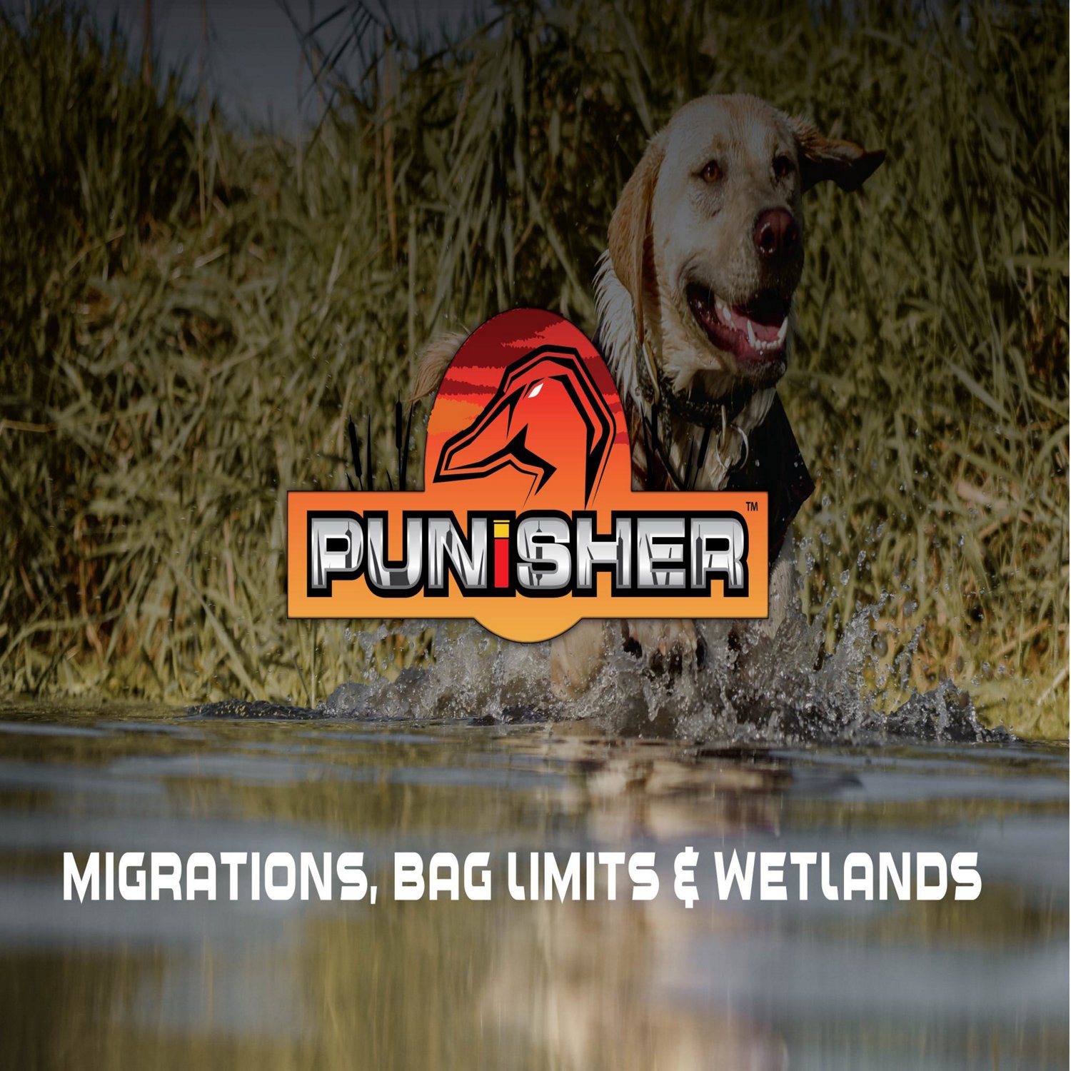 Allen Company Gear Fit Pursuit Punisher Shotgun Case