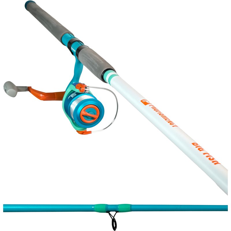 Profishiency Big Fi… - image