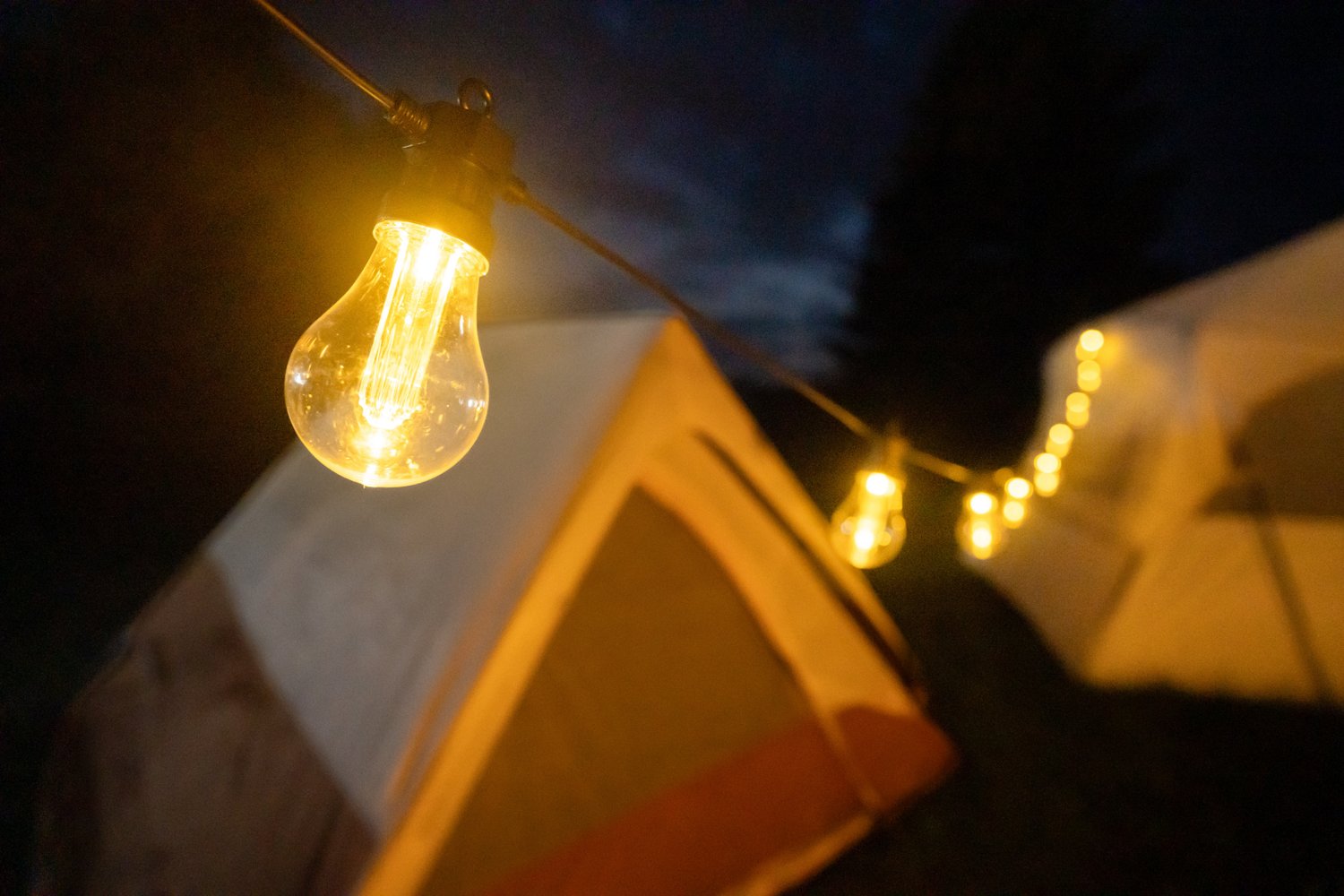 Brightz Edison Bulb Plug-In String Lights - view number 5
