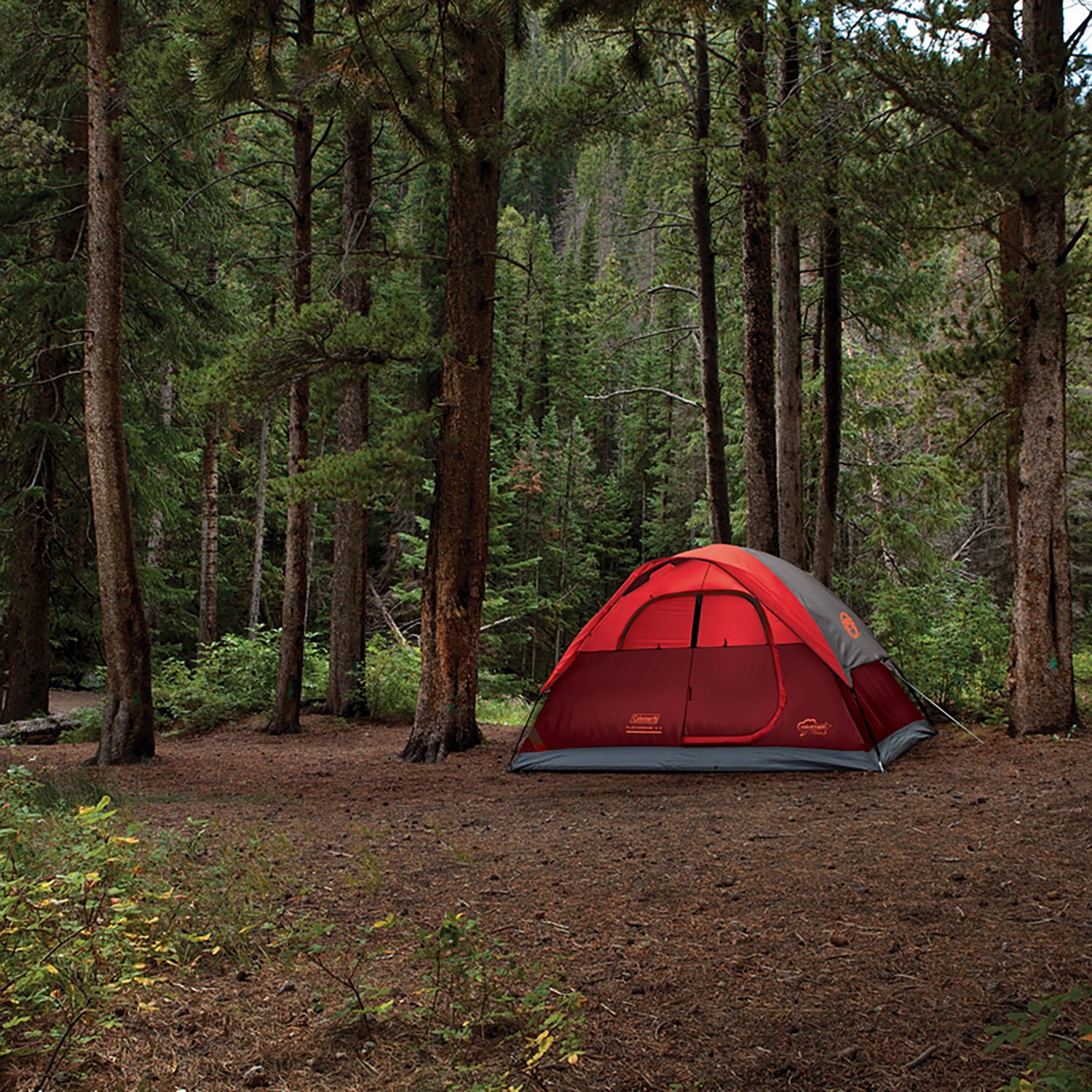 Coleman Flatwoods II 4-Person Lightweight Dome Camping Tent                                                                      - view number 8