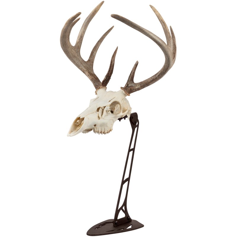 Allen Company Ez Mo… - image