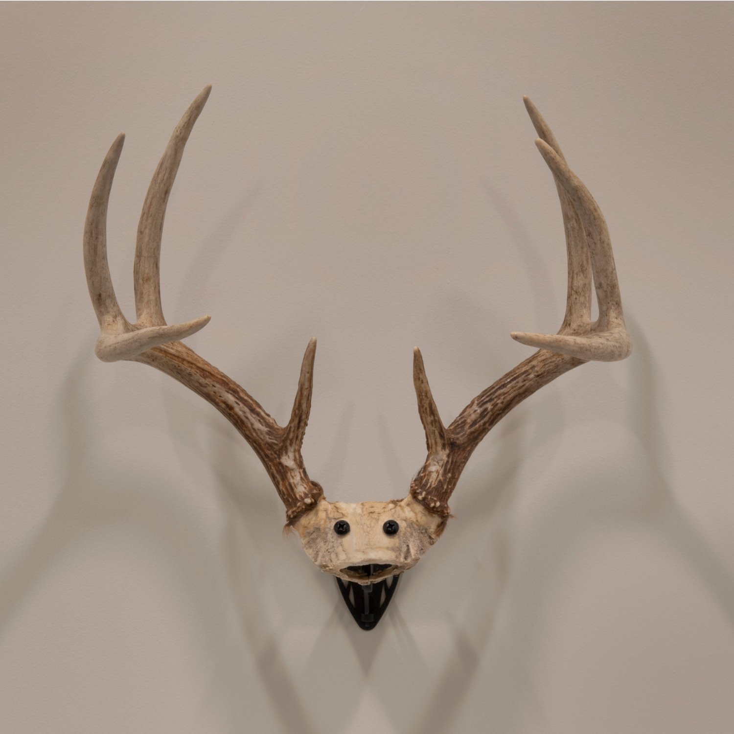 Allen Company EZ Mount Horn Bracket - view number 4