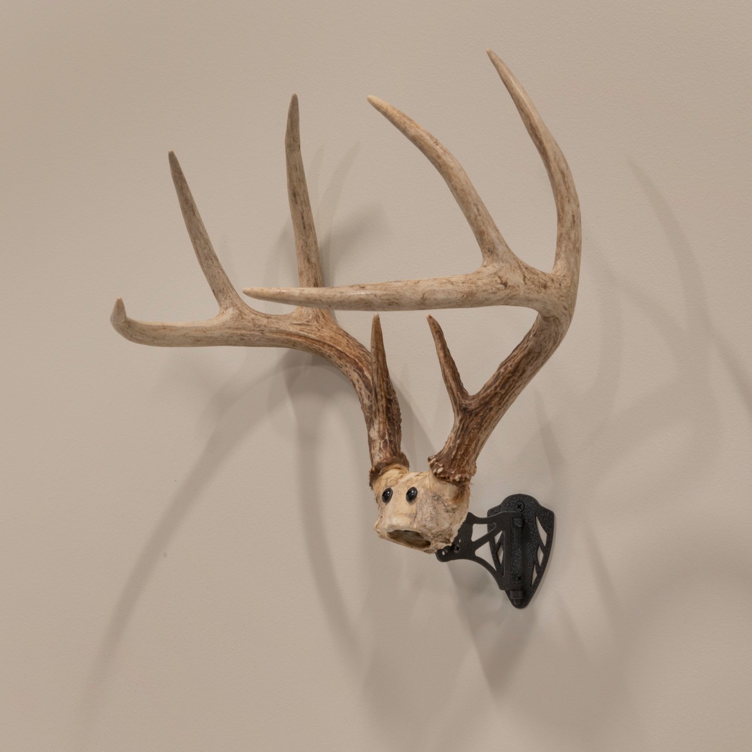 Allen Company EZ Mount Horn Bracket - view number 5