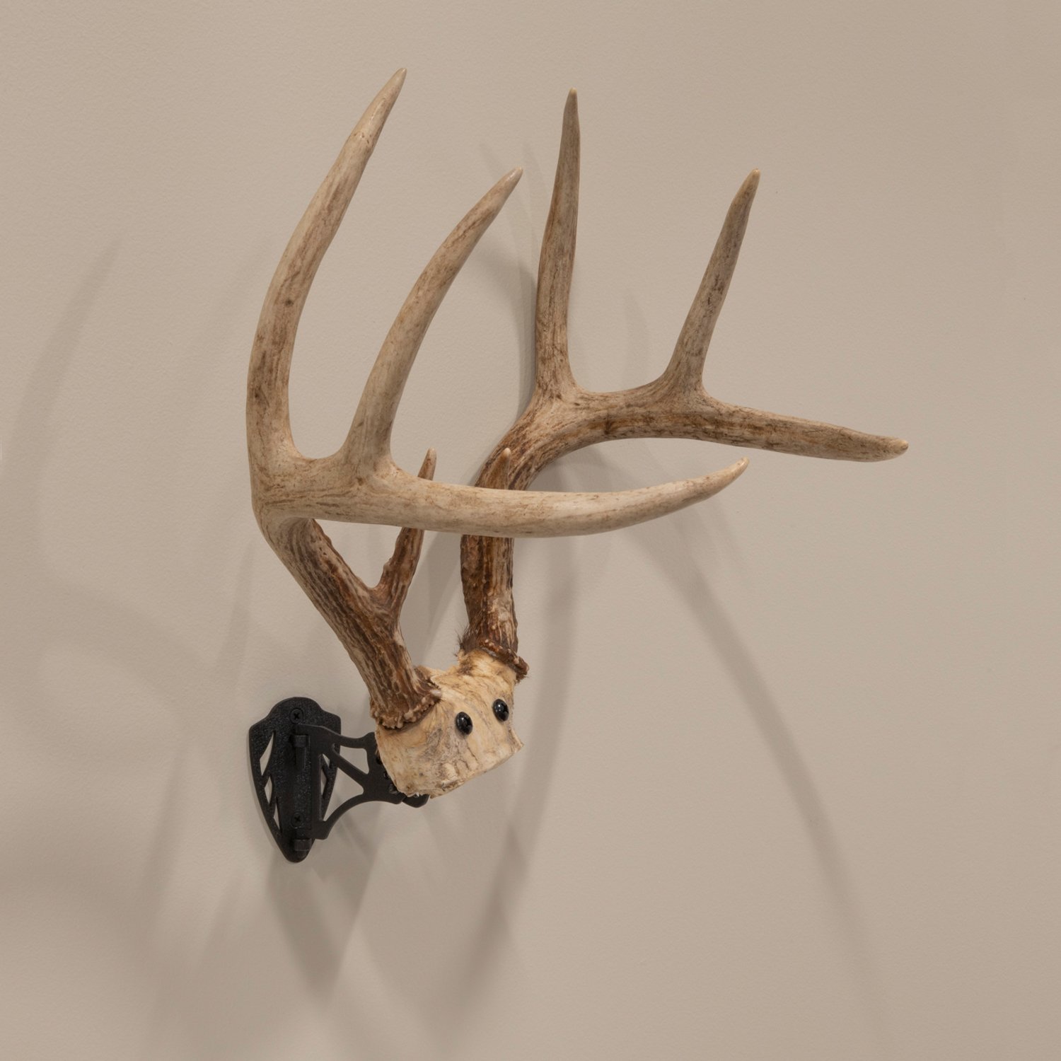 Allen Company EZ Mount Horn Bracket - view number 6