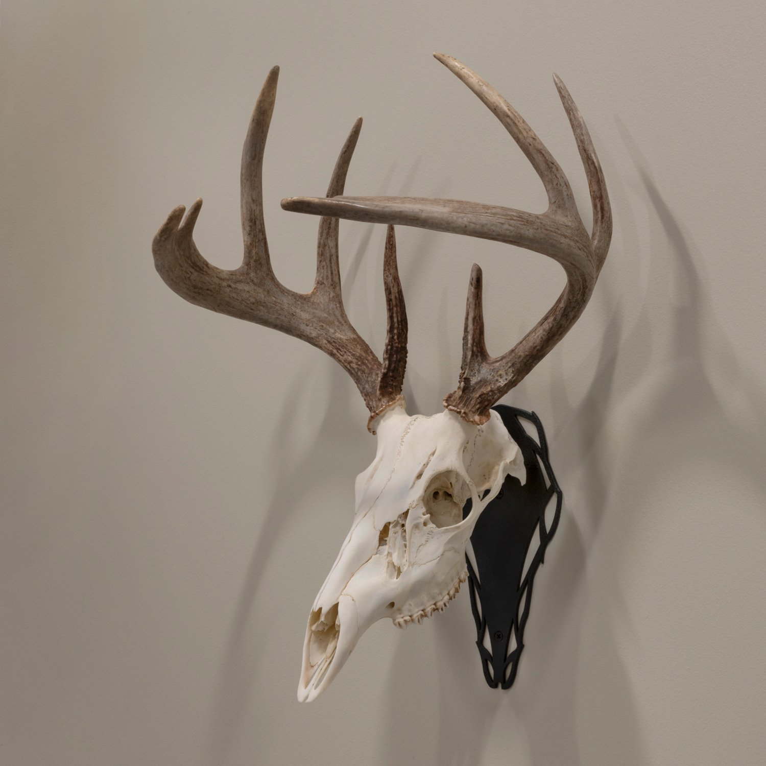 Allen Company EZ Mount Silhouette Skull Peg                                                                                      - view number 5