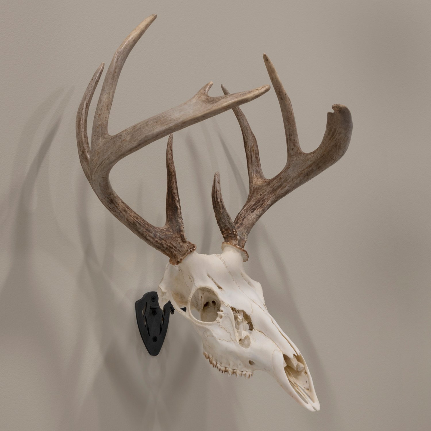 Allen Company EZ Mount Fixed Skull Hanger                                                                                        - view number 6